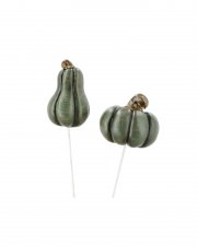 Pumpa Grön Mix 4cm stick