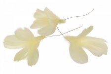 Fjäder Blom 12-pack Ljusgul