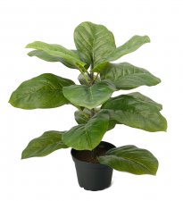 Fiolfikus Grön 40cm, Konstgjord