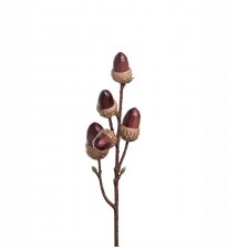 Ekollon Kvist Brun 30cm