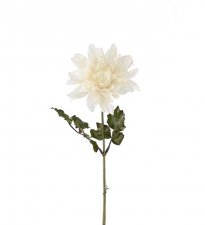 Dahlia Vit 45cm