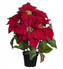 Julstjärna Röd 38cm