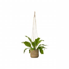 Ampel Belle Natur 17x15cm