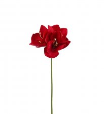 Amaryllis Röd 63cm, Konstgjord