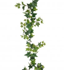 Murgröna Girlang 120cm