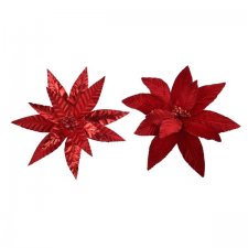Julstjärneblomma Röd Mix D30-33cm
