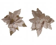 Julstjärneblomma 4x30cm