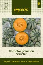 Melon, Cantaloupe-, Charentais