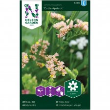 Risp, Blå-, Cutie Apricot