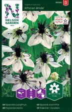 Spanska jungfrun African Bride