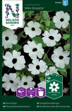 Svartöga, Alba Oculata