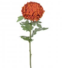 Chrysanthemum Orange 70cm