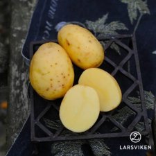 Sättpotatis Bellinda 1kg Ekologisk