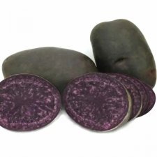 Sättpotatis Bergerac