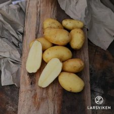 Sättpotatis La Vie 1kg