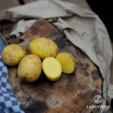 Sättpotatis Merle 1kg