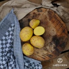 Sättpotatis Plenty 1kg