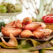 Sättlök Schalottenlök Rosa Longor Eko