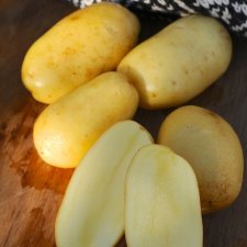 Sättpotatis Ditta