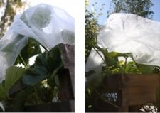 Fiberduk 20kvm 9,6x2,1m