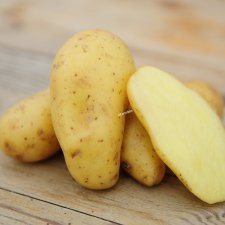 Sättpotatis Linzer Delikatesse 1kg