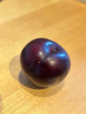 Prunus salicina Black Sun, Svartplommon