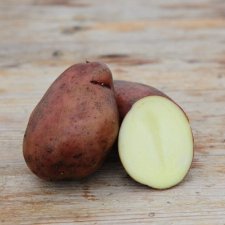 Sättpotatis Sarpo Mira 1kg Ekologisk