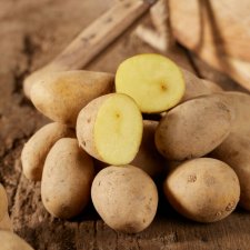 Sättpotatis Annabelle 1kg Ekologisk