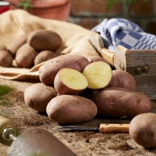 Sättpotatis Asterix 1kg