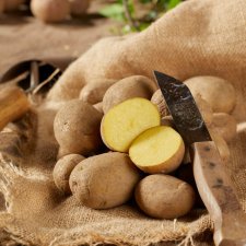 Sättpotatis Baby Lou 1kg