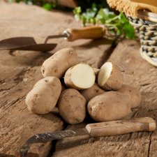 Sättpotatis Early Puritan 1kg