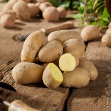 Sättpotatis Jazzy 1kg