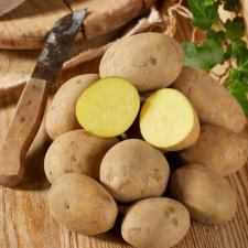 Sättpotatis Lea 1kg