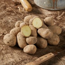 Sättpotatis Maria 1kg