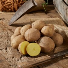 Sättpotatis Swift 1kg