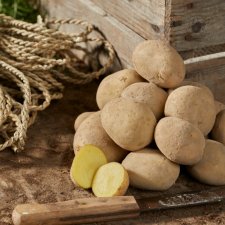 Sättpotatis Taisiya 1kg