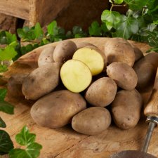 Sättpotatis Tinca 1kg