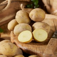 Sättpotatis Twister 1kg Ekologisk