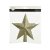 Toppstjärna 19x19x4,2cm Guld