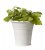 Kruka Livia Vit 14x14cm