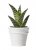 Kruka Livia Vit 8x7cm