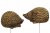 Igelkotte stick Guld/brun 4x7x4cm