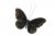 Fjäril Clip Guldbrun 16cm