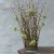 Blomsterfakir Kenzan The Ring 12cm