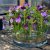 Blomsterfakir Kenzan The Ring 12cm