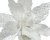 Julstjärneblomma 8x30cm