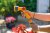 Sprinklerpistol Multi Spray
