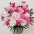 Nejlika, Stickling, Dianthus I Love You ® 3-pack