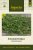 Timjan, Sommar-, 'French Summer', Ekologisk