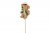 Nalle Examen pinne Brun 10cm